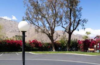 Palm Springs Unique Central Condo - Foto 29