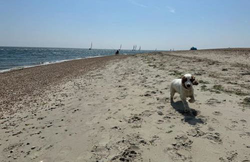 Bungalow on the beach - Foto 9