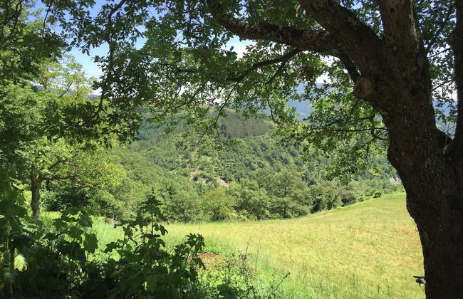 Farmhouse in Apecchio With Pool - Foto 33
