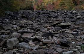 Radiant Forest Vacation Rental Haven Near Piney River, Tennessee - Foto 16