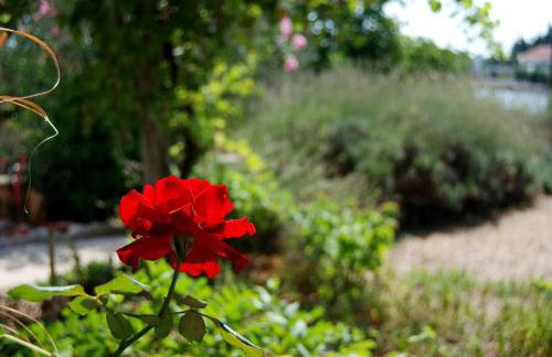 Rustic House Miketa - Family Summertime - Foto 54