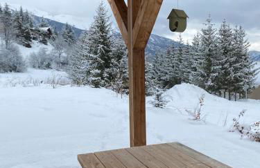 Chalet plein sud 10 personnes garage privé cheminée - Foto 7