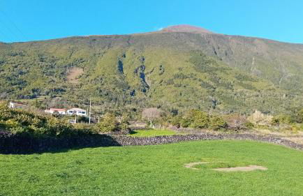 Sunflower Guest House - Madalena - Pico - Photo 55