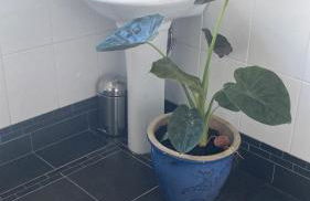 Mountain Suite, Stunning Views, Brecon Beacons - Photo 15