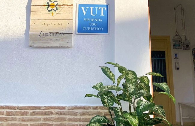 El patio del limonero - Foto 32