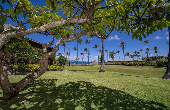 Napili Shores Maui by OUTRIGGER - Foto 24