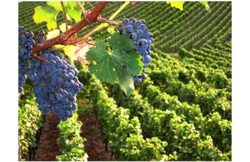 Savoir Vivre Modern Retreat - Foto 63