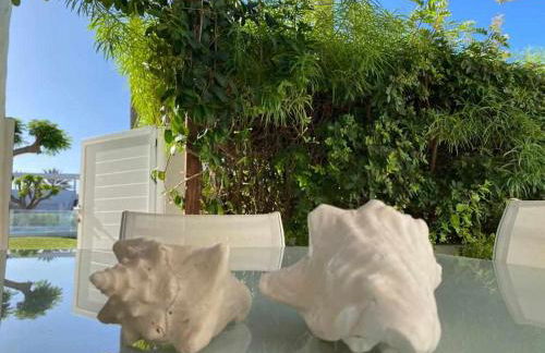 Relax Pasito Blanco - Foto 25