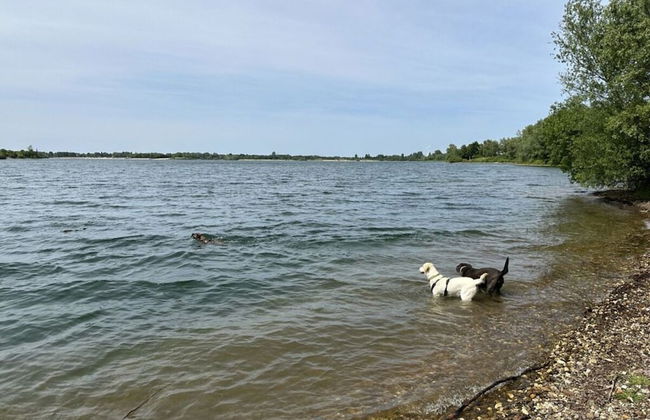 Milan Modern Retreat - Photo 14