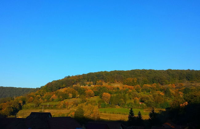 Casa Lily-Japanese Retreat - Foto 35