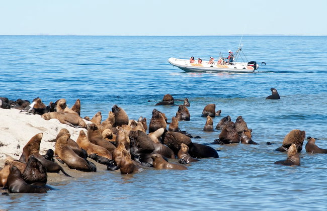 Ramada Residences by Wyndham Puerto Madryn CQ Mitre - Photo 51