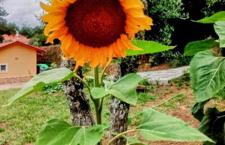 Casa Virginia - Foto 39