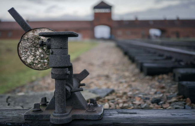 Excursión privada a Auschwitz-Birkenau - Foto 3