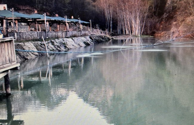 Yeşilgöl Doğa Evleri - Foto 7