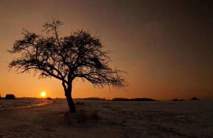 Ferienwohnung-malanders - Foto 24