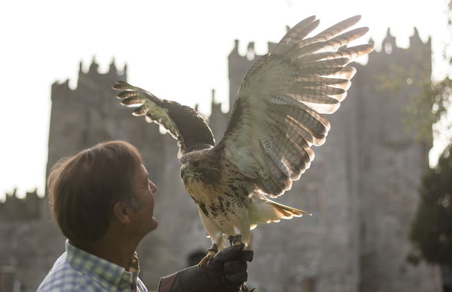 Kilkea Castle - Foto 25