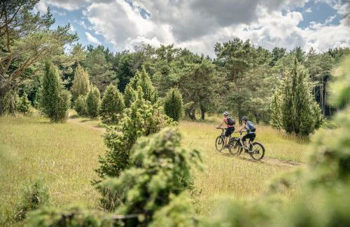 Exklusive Cabins am Rursee inmitten der Natur – mlab relax Eifel - Foto 55