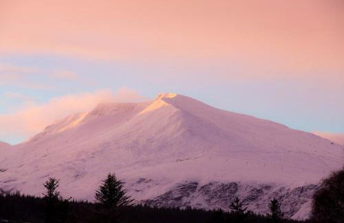 Room with a view - Photo 8