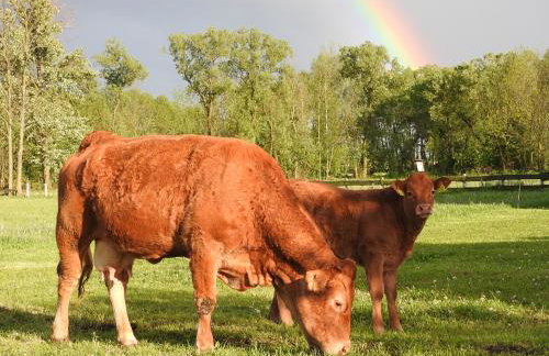 Agroturystyka Biebrzańska Kraina - Foto 20