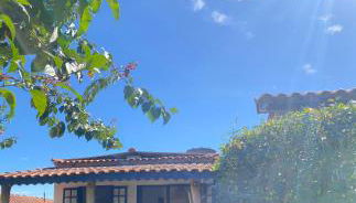 Casinha colibri - Foto 1