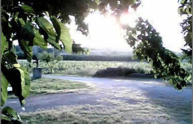 Agriturismo La Natura - Photo 6