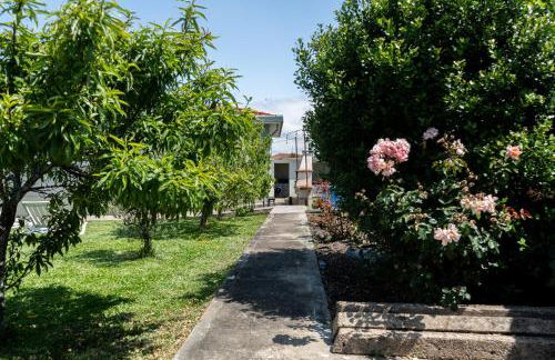 House with pool and garden in Esmoriz near Porto - Foto 29