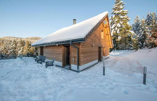 Chalet familial spacieux avec SPA, salle de jeux, près des pistes - 14 pers, Vosges - FR-1-589-366 - Foto 14