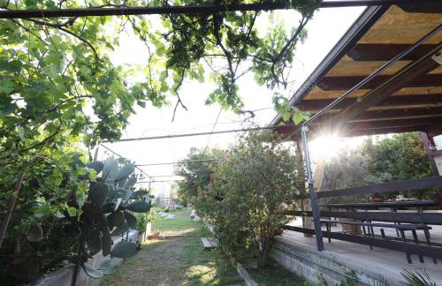 Agriturismo Pietragrande - Photo 46