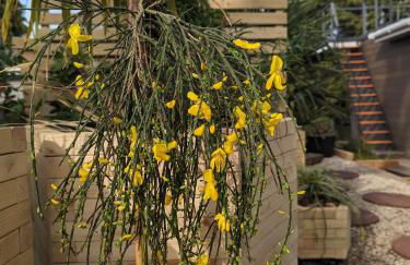 Tamanzi Taggs-floating home on idyllic island - Foto 10