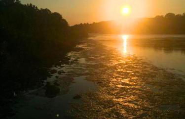 Rare River Views & Access, Cabin by Eden Islands - Foto 6