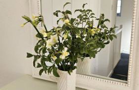 Lavender Cottage - Foto 6