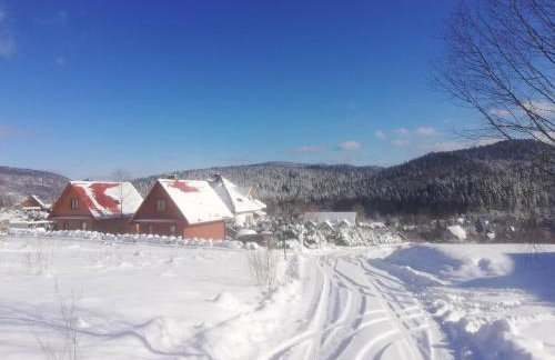 Domki pod Honem w Cisnej - Foto 27