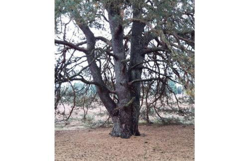 Apartment at the Eichenpark - Foto 23