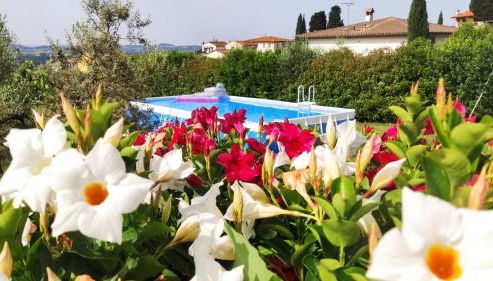 Le Macine di San Salvadore - Foto 4, Garden