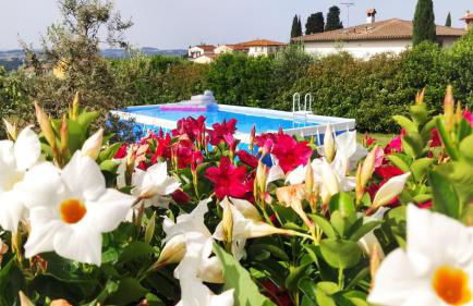 Le Macine di San Salvadore - Foto 4