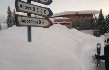 L'Après-ski Chamrousse 1700 - Foto 25