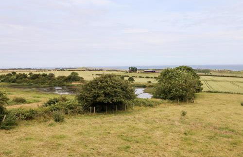 Links View - Foto 17