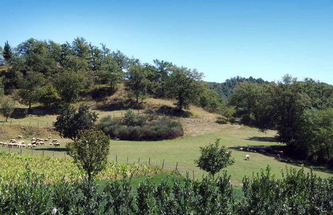 Beautiful Cottage in Dicomano With Swimming Pool - Foto 80