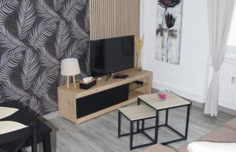 L'Europ'appart - Cosy - Gare - Center parcs -St Croix - Foto 17