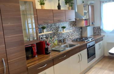 Sion City Mulhouse centre - parking et balcon-wifi 5G gratuit - Foto 9