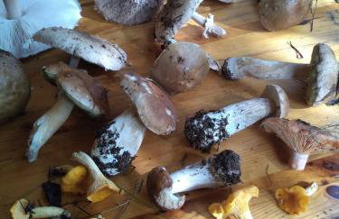 Zacisze Markowszczyzna - Foto 20