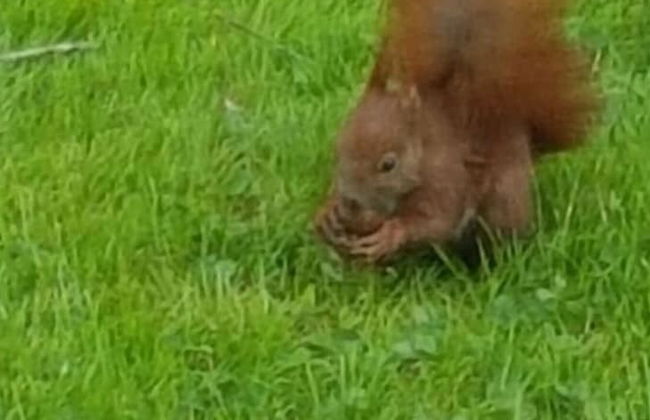 Holiday Home Amelie Comfortable Vacation Home - Photo 13