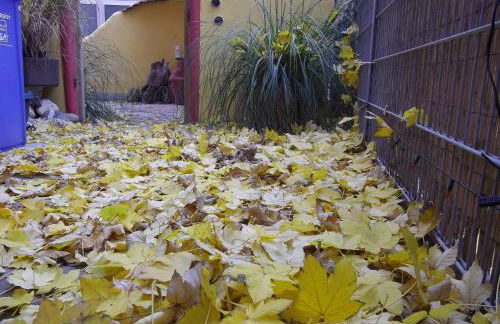 CasaCreativa - Foto 32