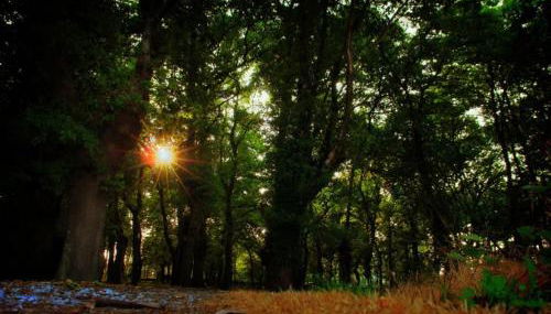 Casa de Arias - Photo 4