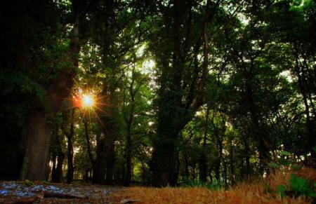 Casa de Arias - Photo 4