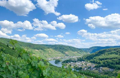 Haus in Spay an der Mosel mit Sauna - Foto 39