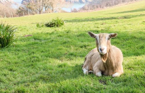 Partridge Cottage - Foto 28