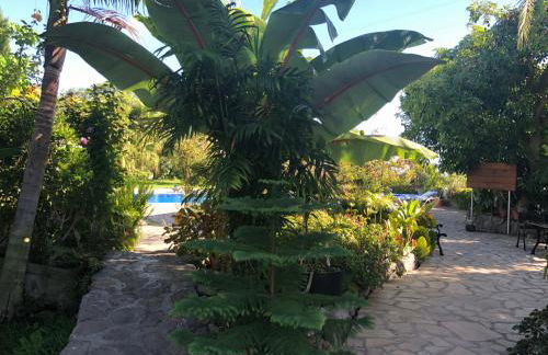 Taburiente - Foto 40