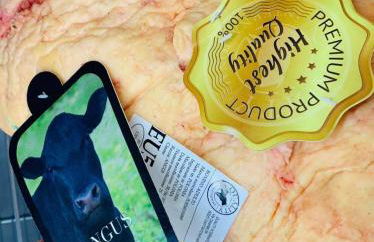 Il Giardino Dorato - Foto 53