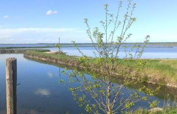 Casa Vacanze Nel Delta del Po - Foto 64